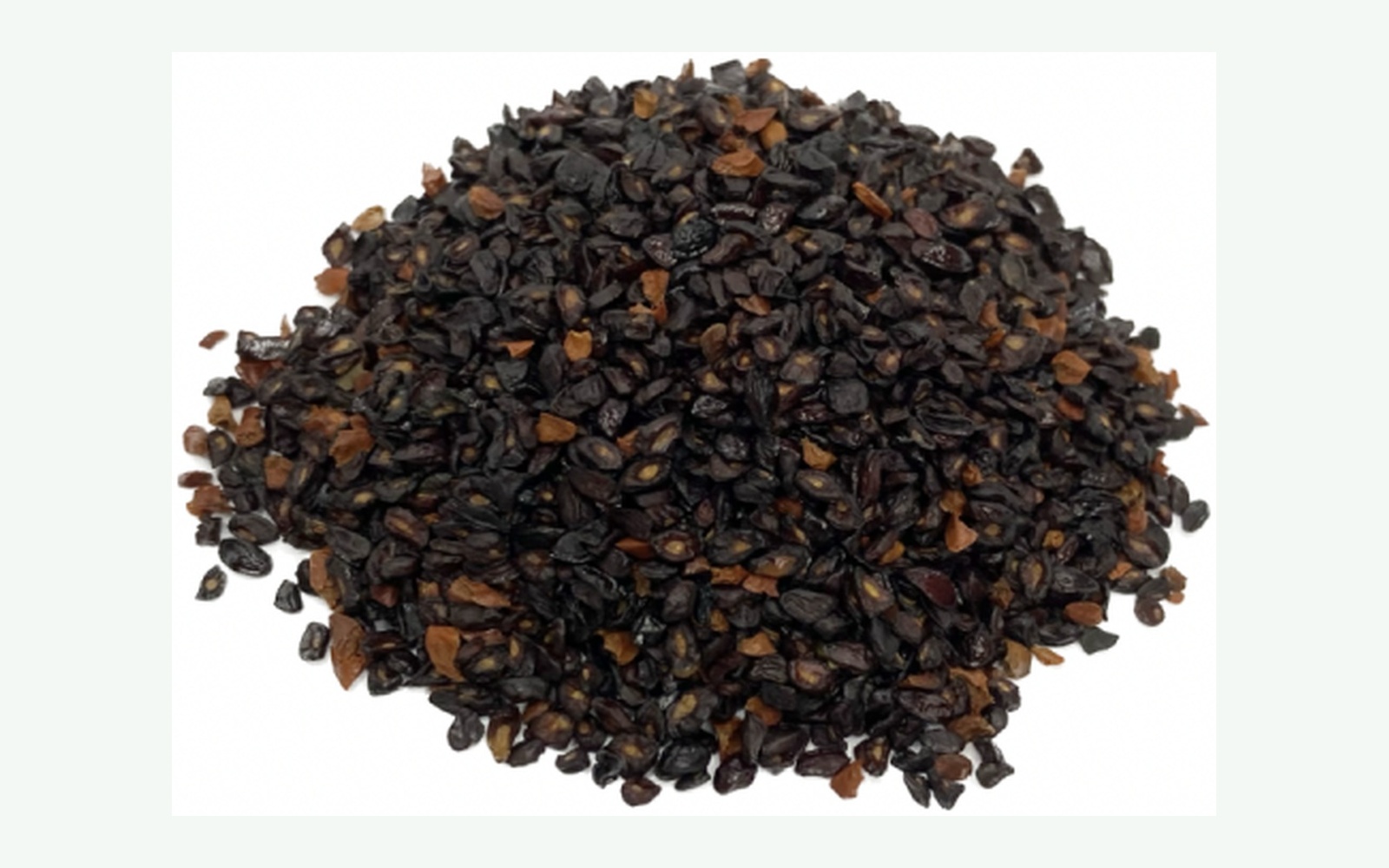 Sementes de eucalipto Citriodora Melhorado Peludinho